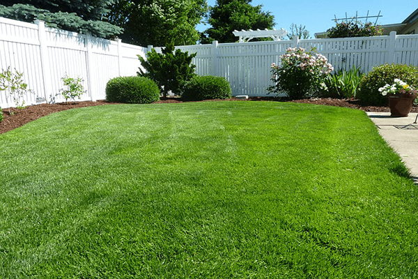 Backyard with Fence | R Contracting Services
