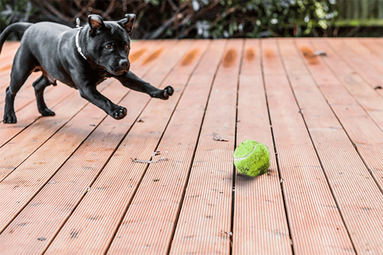 Durable and Beautiful Custom Deck | R Contracting Services