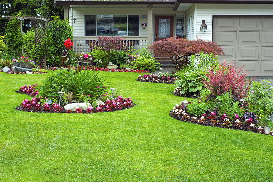 Front yard landscaping and flower beds