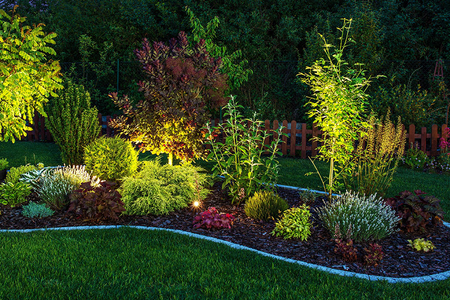 Landscape Lighting in a Backyard | R Contracting Services